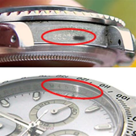 come lavare rolex|il vostro Rolex.